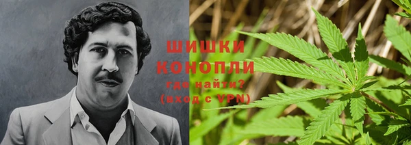 альфа пвп Бородино