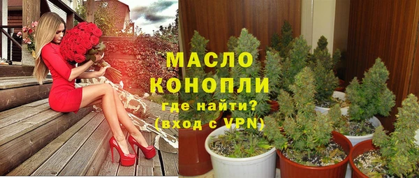 крисы Богородицк